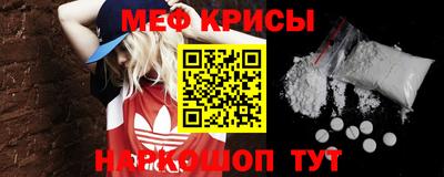 спиды Кингисепп