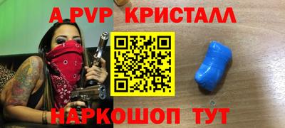 спиды Кингисепп