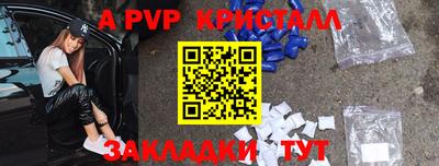 спиды Кингисепп
