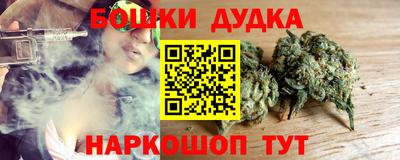 спиды Кингисепп