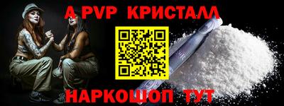 спиды Кингисепп
