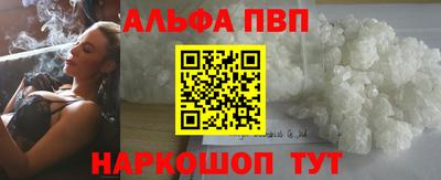 спиды Кингисепп